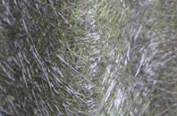 Illey fibreglass roof work